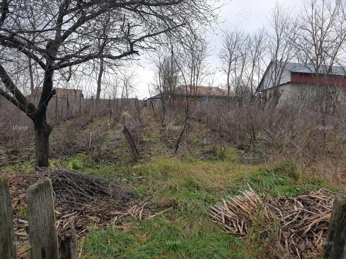 Casa batraneasca de vanzare - 6