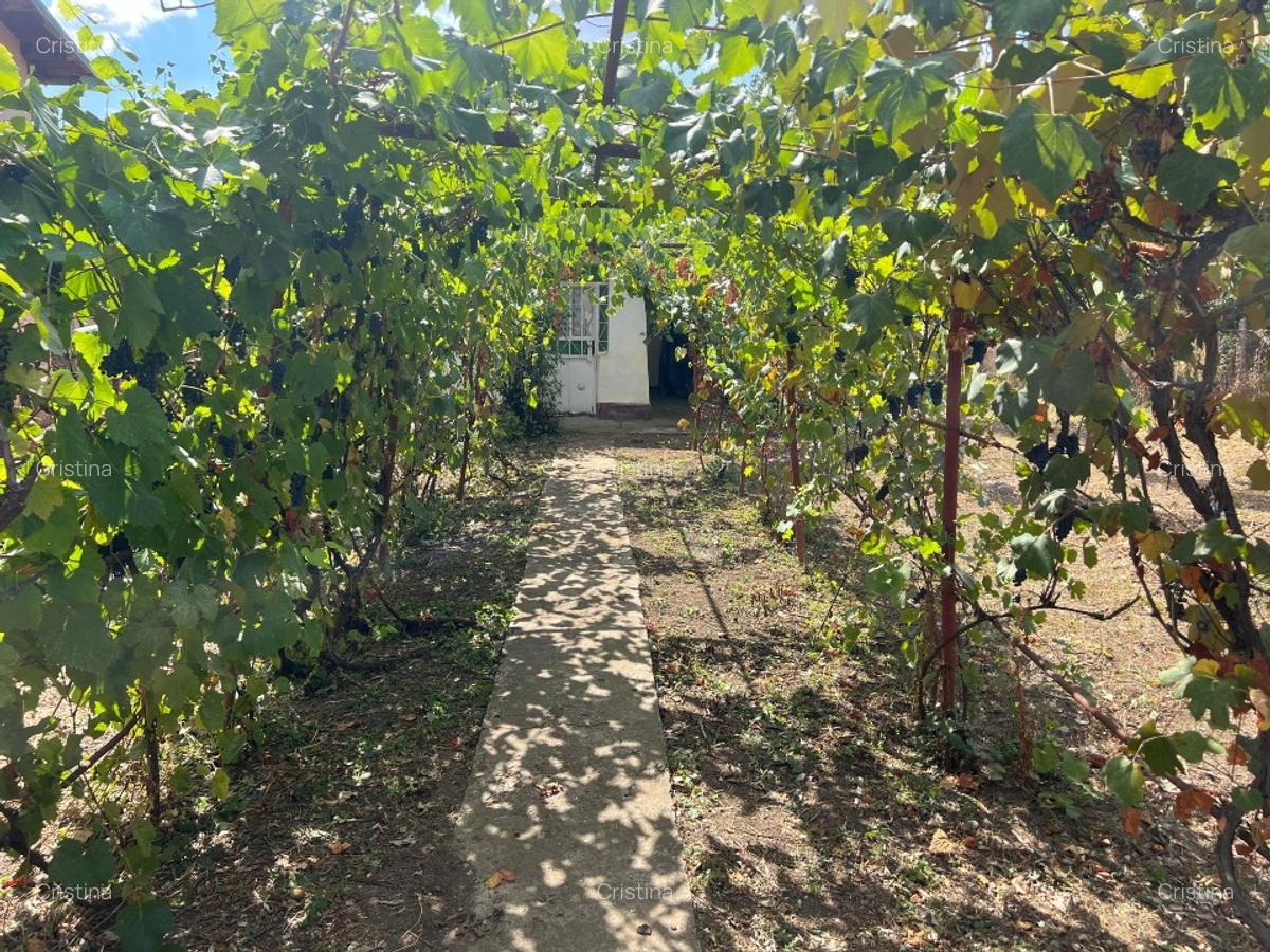 Casa de vânzare - 10
