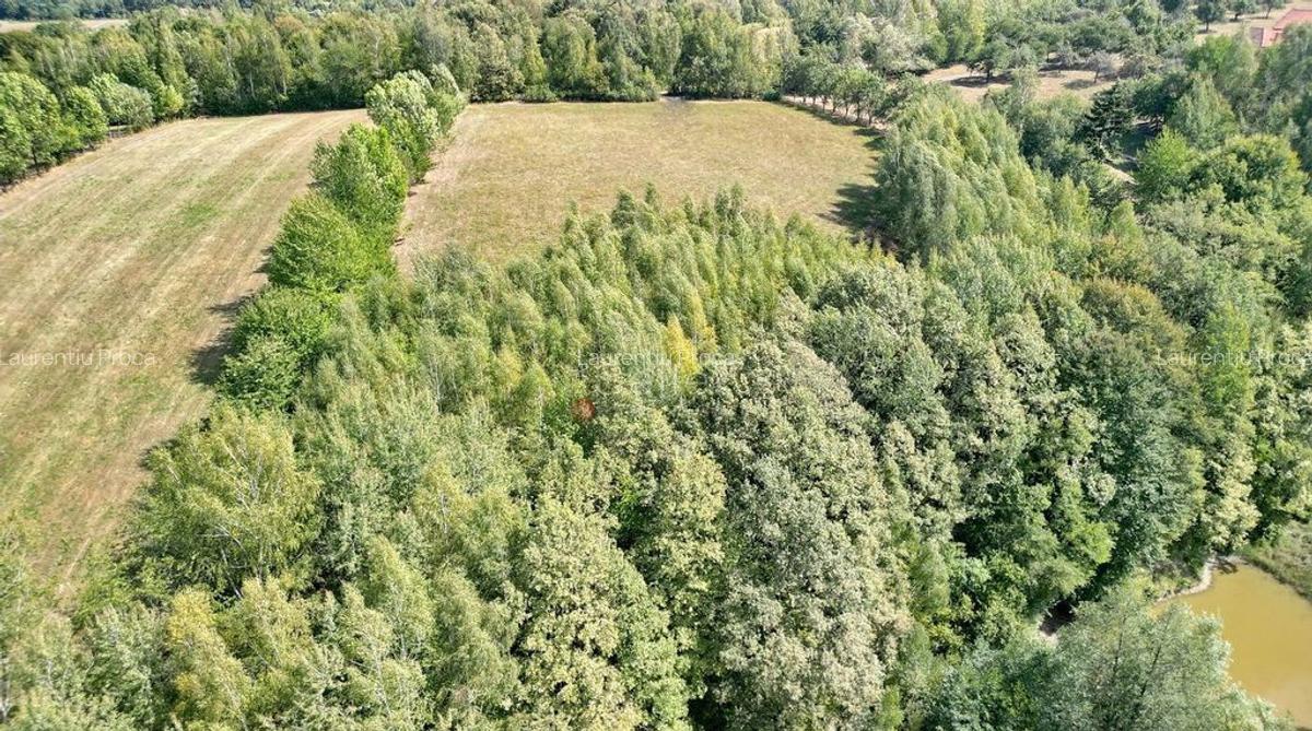 Teren intravilan, priveliste deosebita - 35