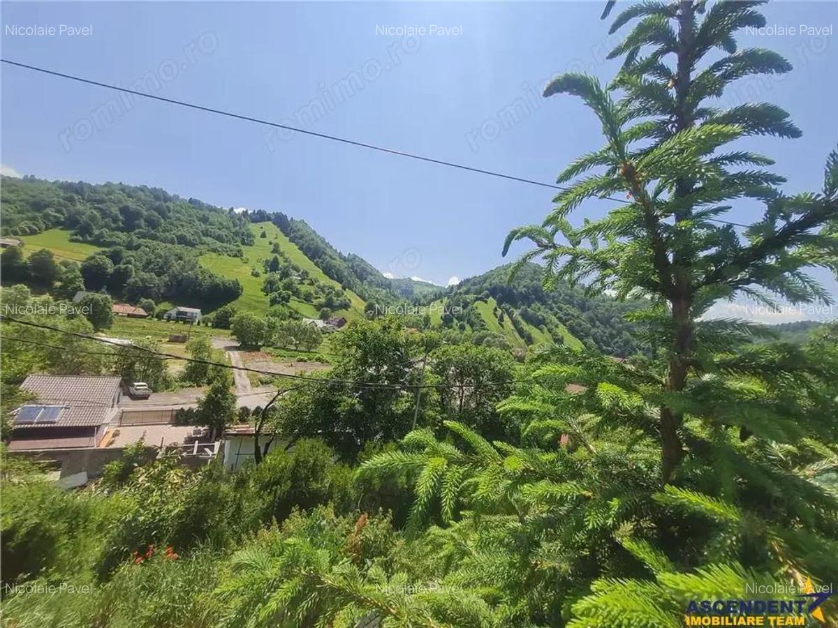 View superb:intravilan,constructie rezidenta hotel, 2.327 mp,Moieciu de Jos, Bran - 10