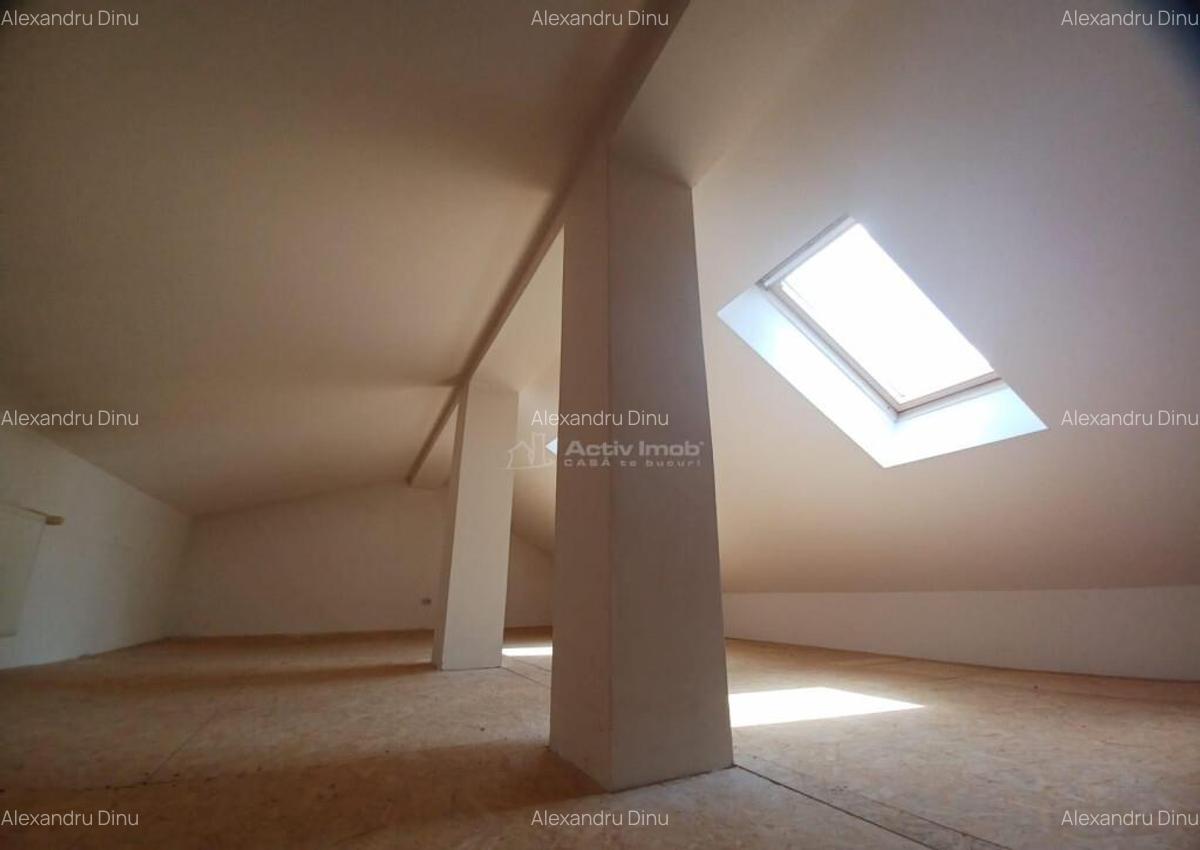 Vila Branesti 5 camere - 10