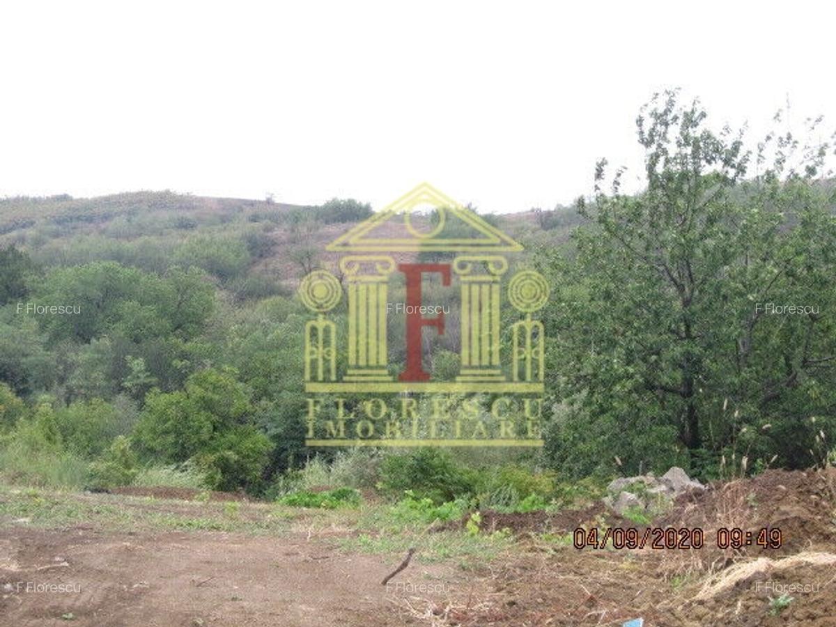 Teren intravilan  Tomesti! - 2