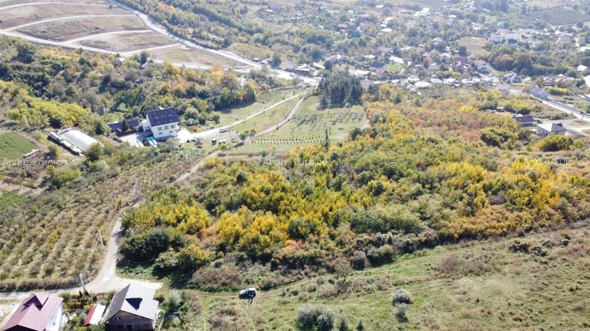 Teren Extravilan Bucium - Mun Iasi - 1