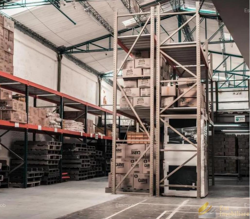 Hale de inchiriat: 280-450-550mp- Bragadiru - 2