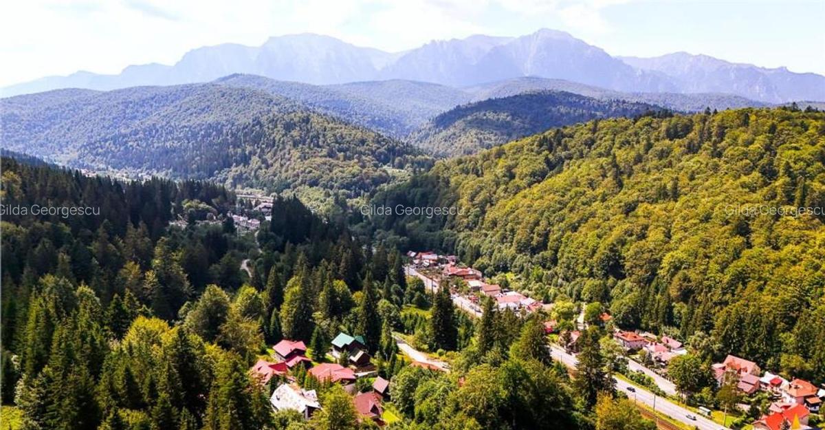 FILM! Refugiu de vacanta, cu foisor, gradina si muntii in za - 3