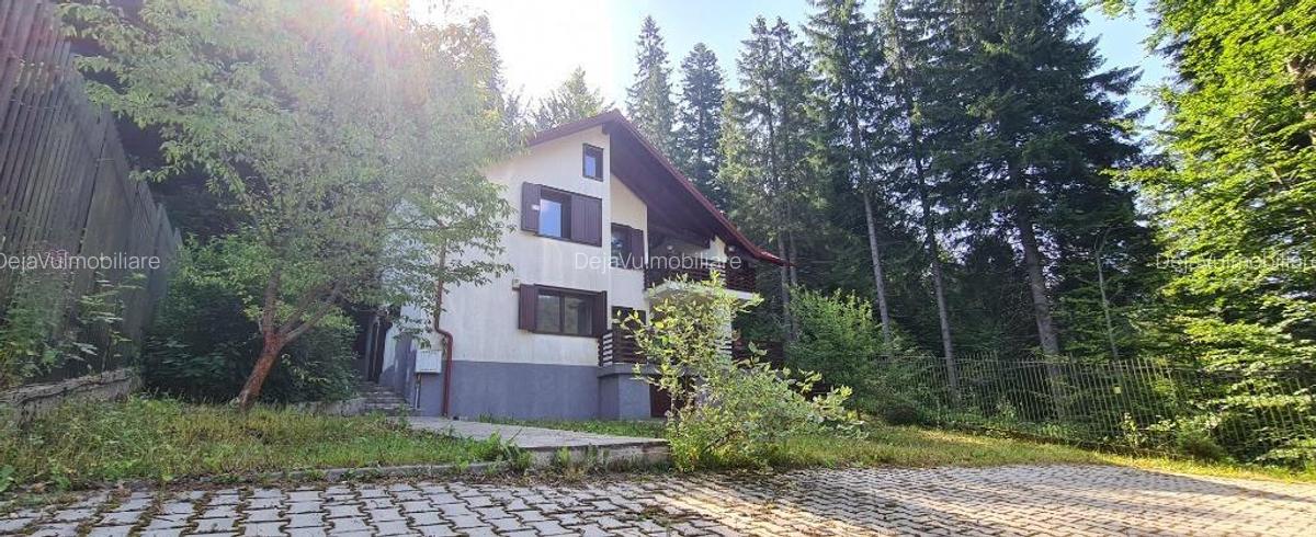 Vila Predeal New 2025 - 15