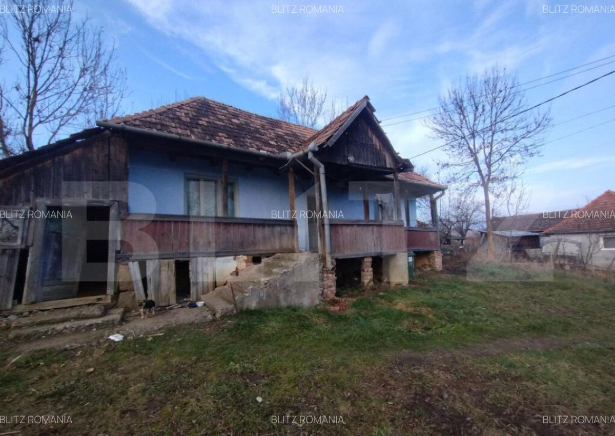 Casa batraneasca,55mp utili, teren aferent 2700mp+1ha teren - 1