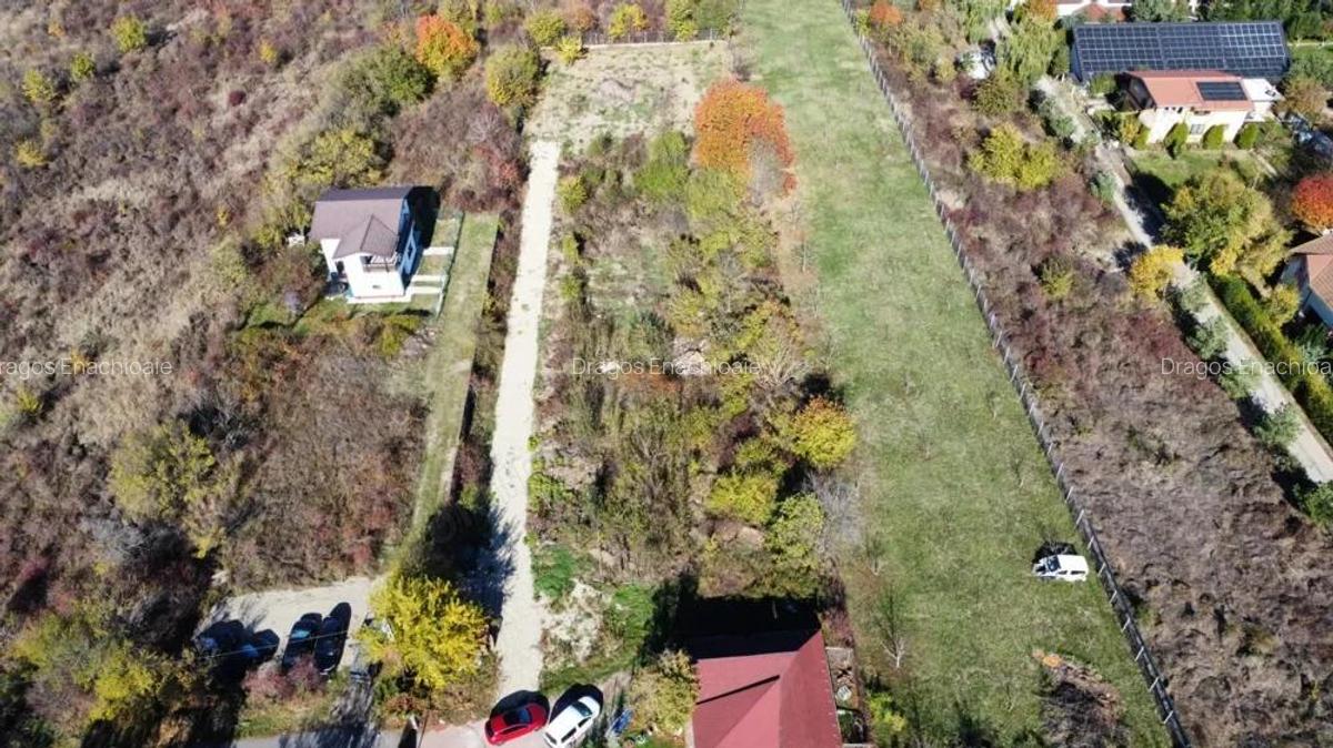 Teren de vanzare in Vladiceasca, 720mp, langa DN1 - Snagov Plaza - 12