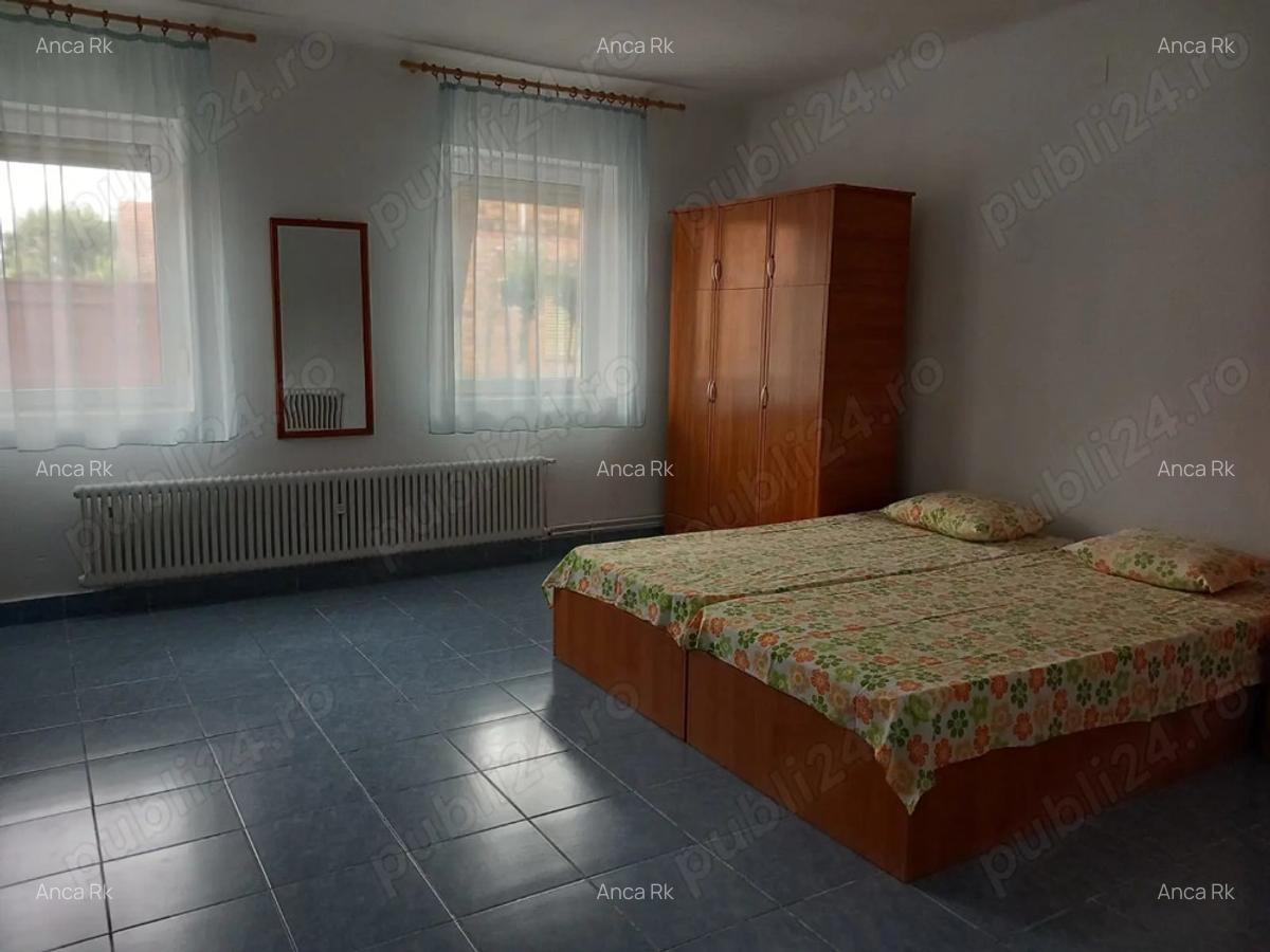 Casa de vanzare Jimbolia - 4