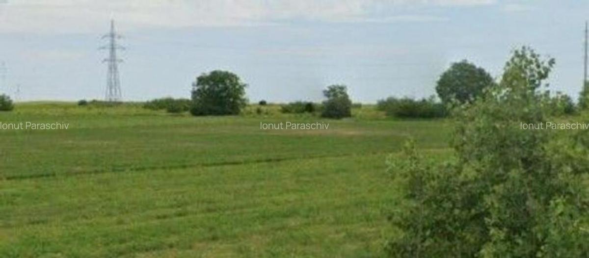 Teren extravilan Pogoanele, ID: R2586845 - 5