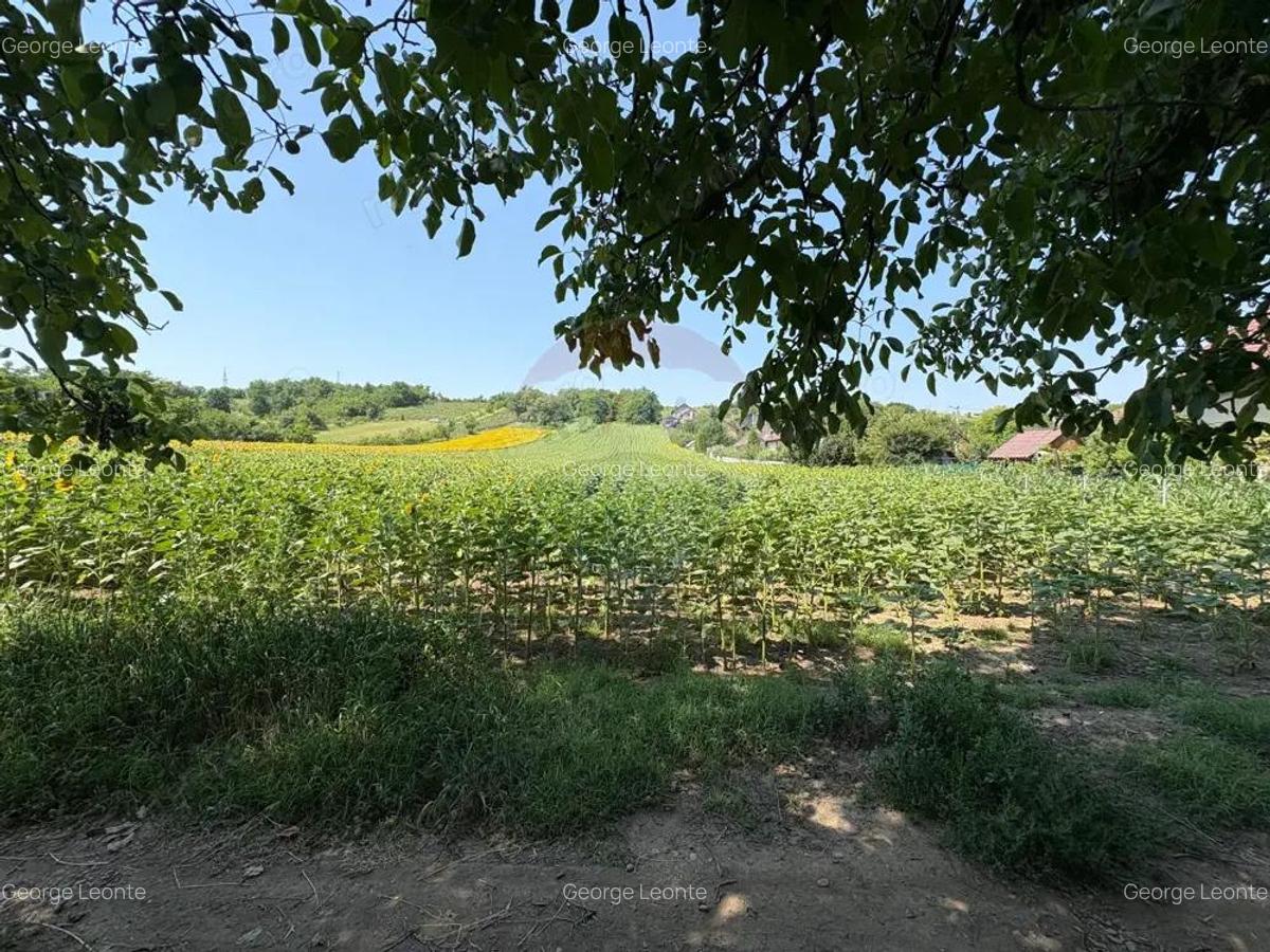 Teren 9,012mp Saucesti / Strada Cire?ului - 1