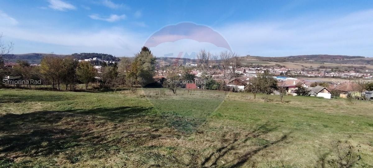 Teren intravilan de vanzare 3,798mp Str.Floreasca - Agnita - 4