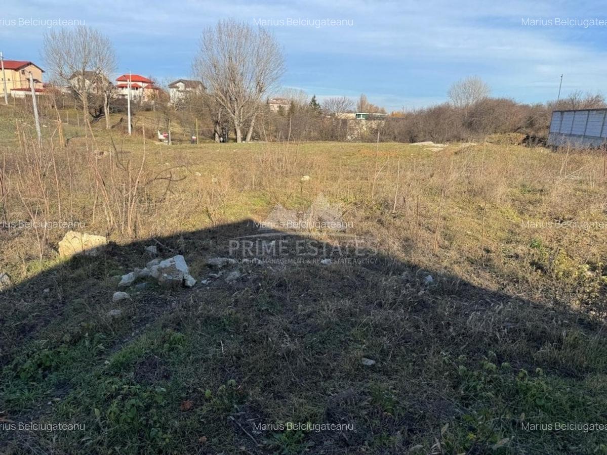 De Vanzare teren intravilan 1100 mp Pantelimon-Catelu - 4