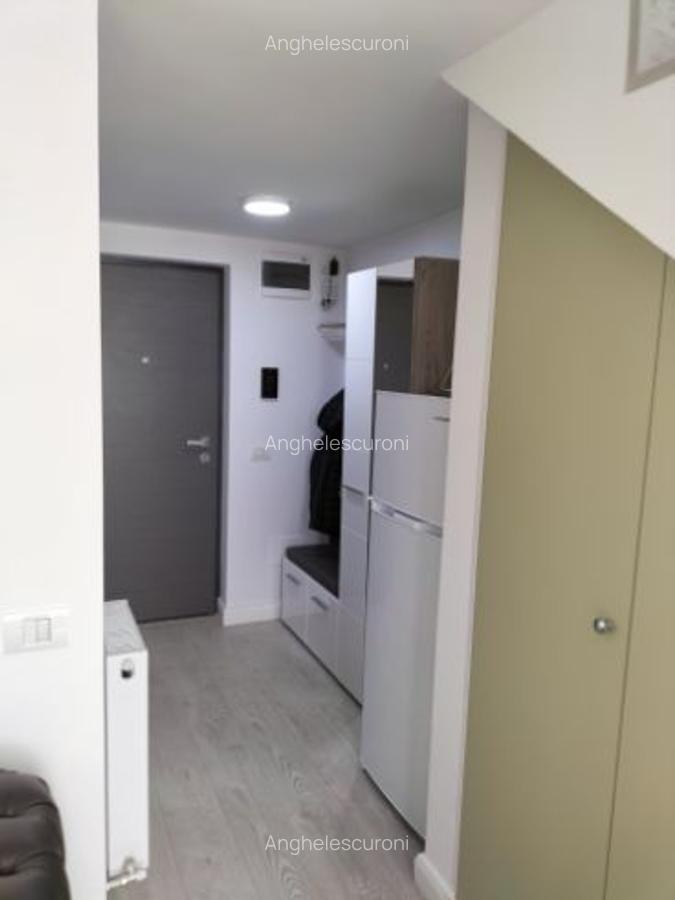 Ofer spre închiriere un studio loft - 8