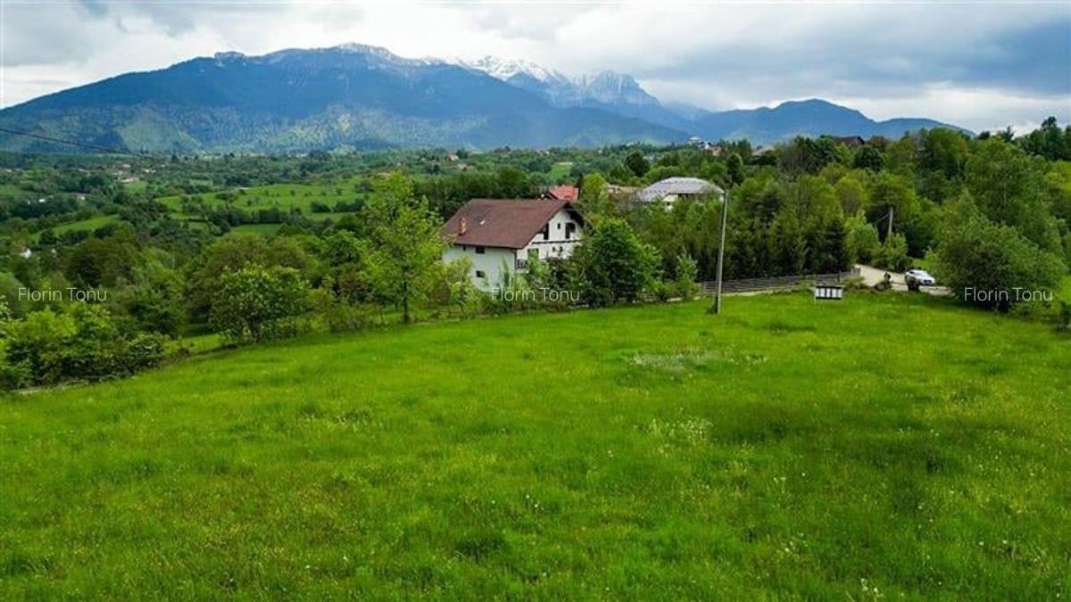 Film! 11.000 mp,pozitionare valoroasa,conditii apreciabile, Sohodol, Bran, Braso - 6