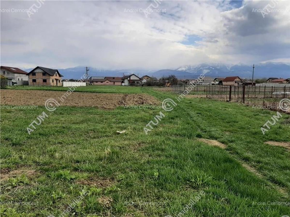 Eren intravilan 1400 mp de vanzare pe Valea Avrigului - 1