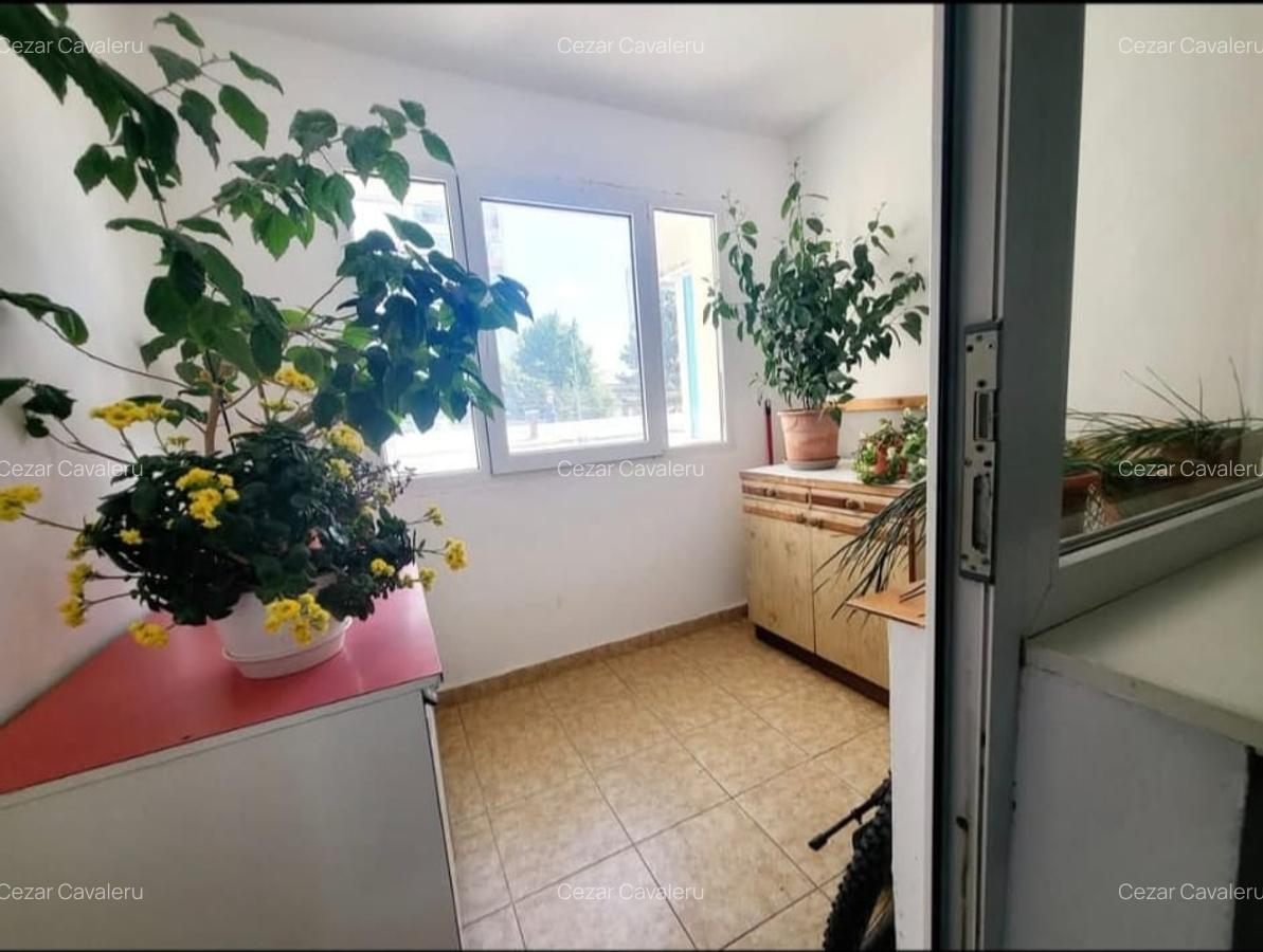 Zimbru- 2 camere decomandate, etaj 1 - 6