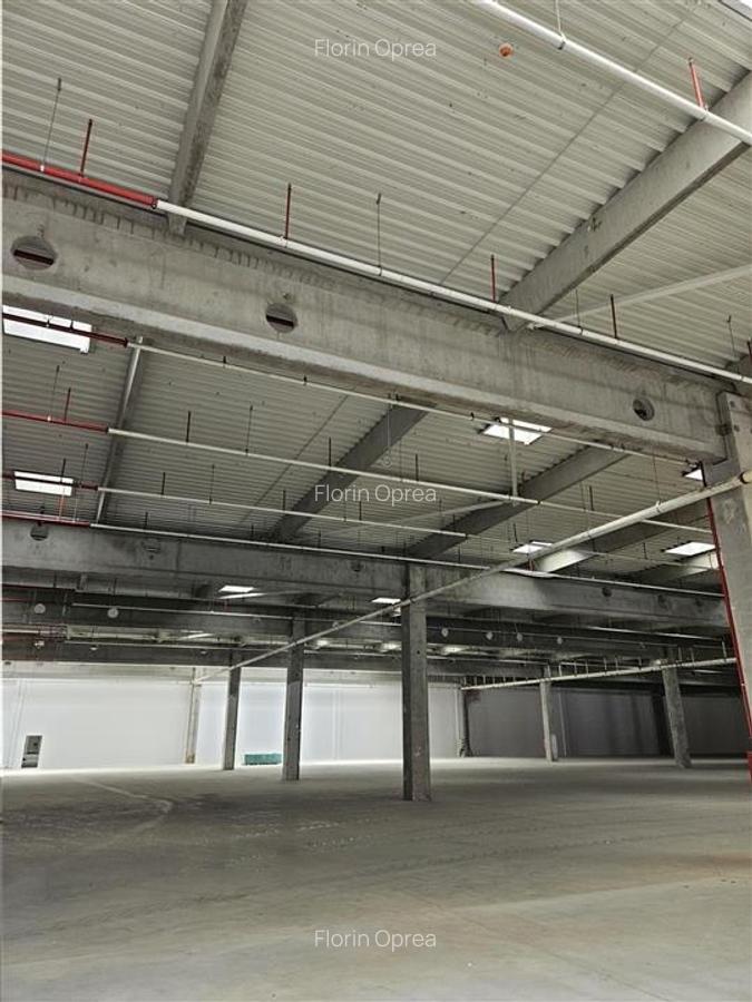 Spatiu Industrial - 2300 mp - Productie - Depozitare - Distributie - 13