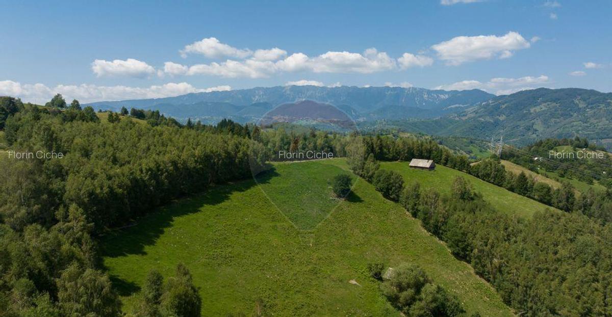 Teren Panoramic in Bran Vedere spre Bucegi & Piatra C... - 2