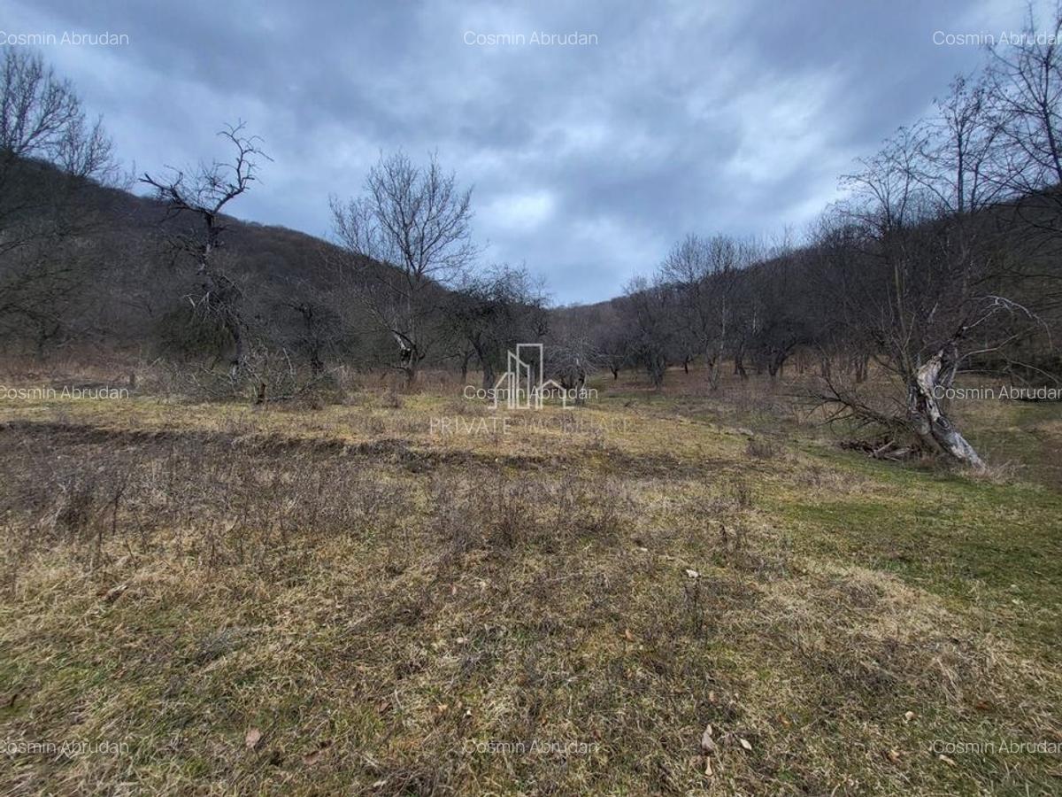 Teren de vanzare intravilan, 10 000 Mp , Sighisoara - 6