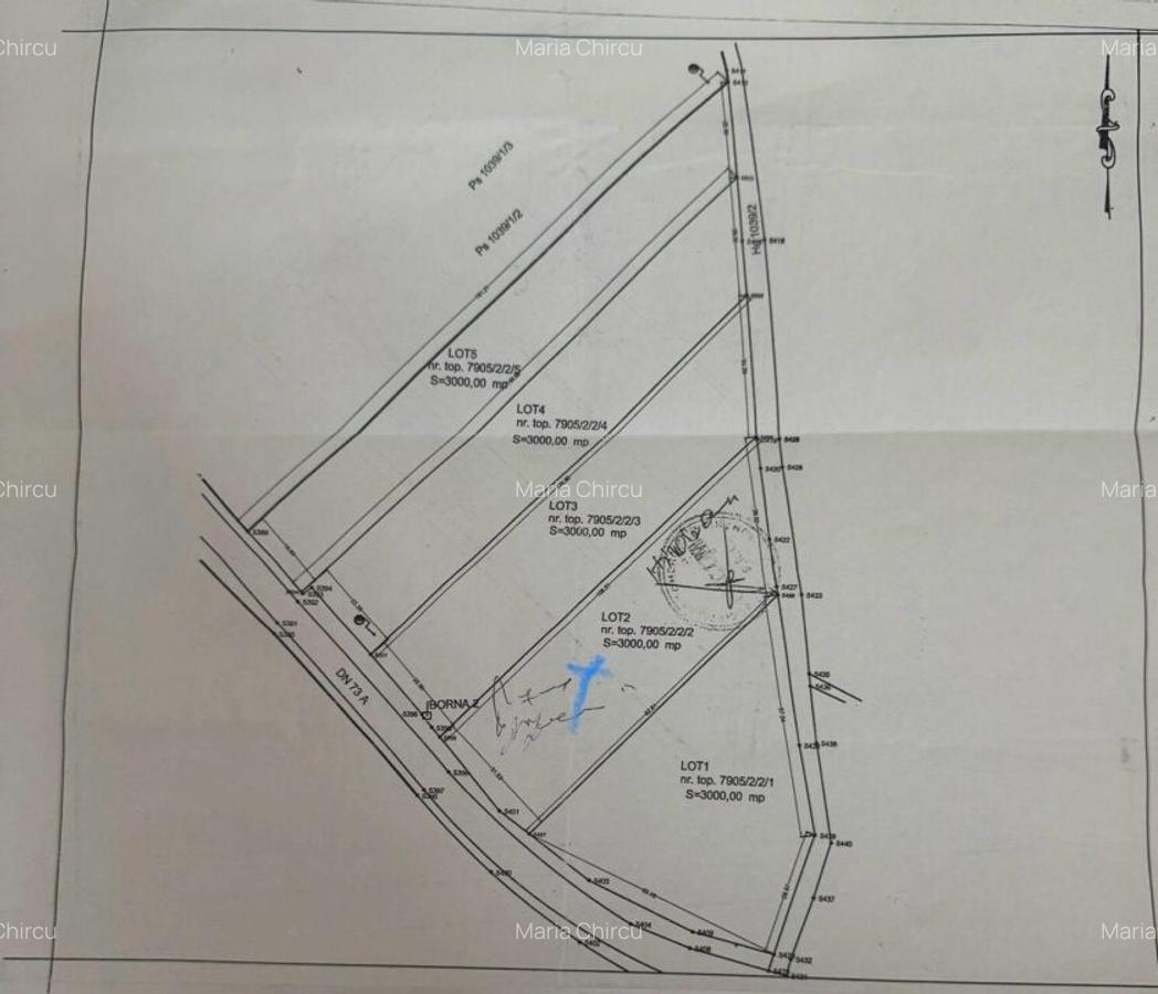 Teren 3000 mp Rasnov DN73A - 3