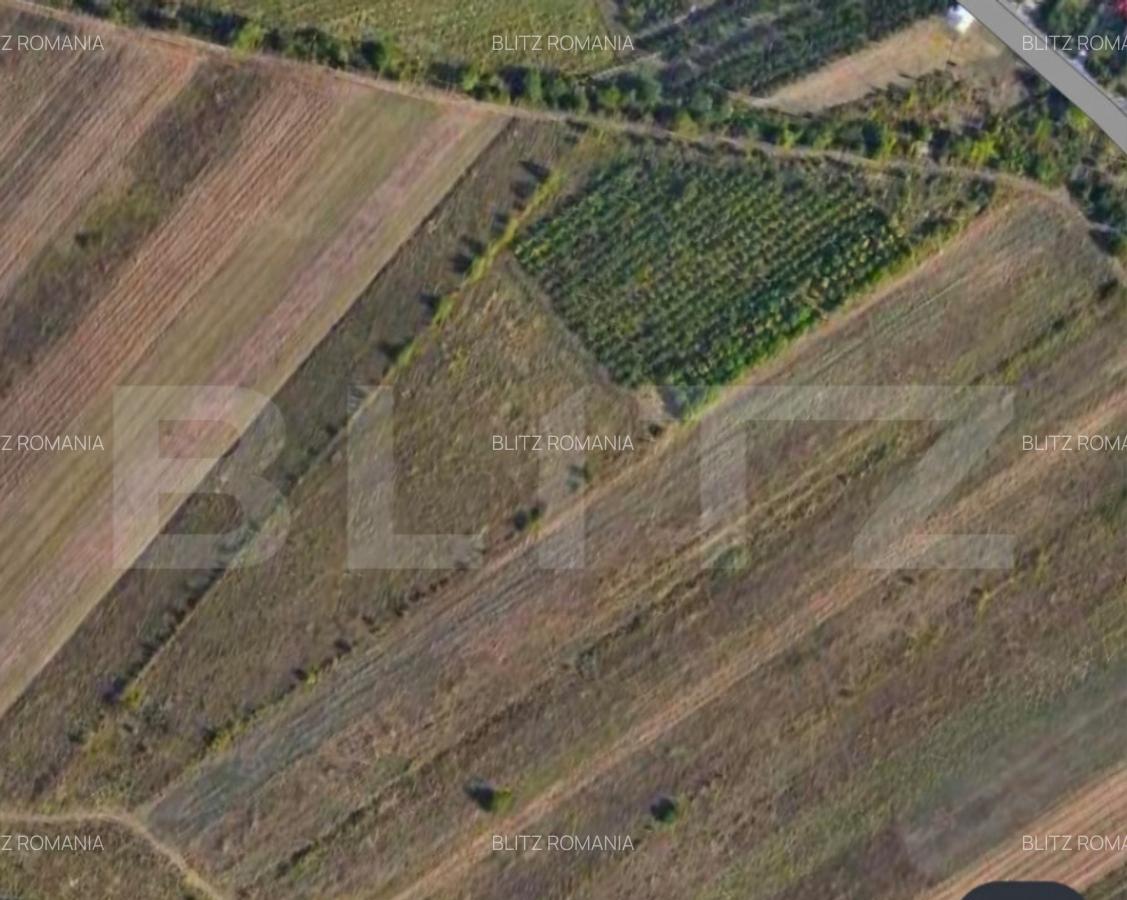 Teren 24.712 mp, parcelabil, zona Nord - 1