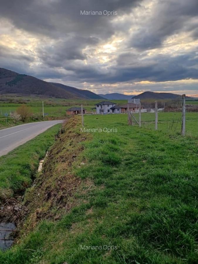 Teren Intravilan 1800mp  in Poplaca - 2