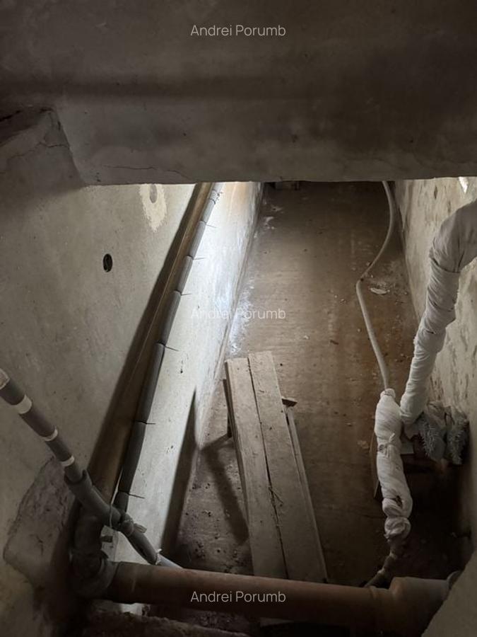 Individuiala Biled P+M,9 Camere,Teren Generos,Toate Utilitatile,2 F.S - 4