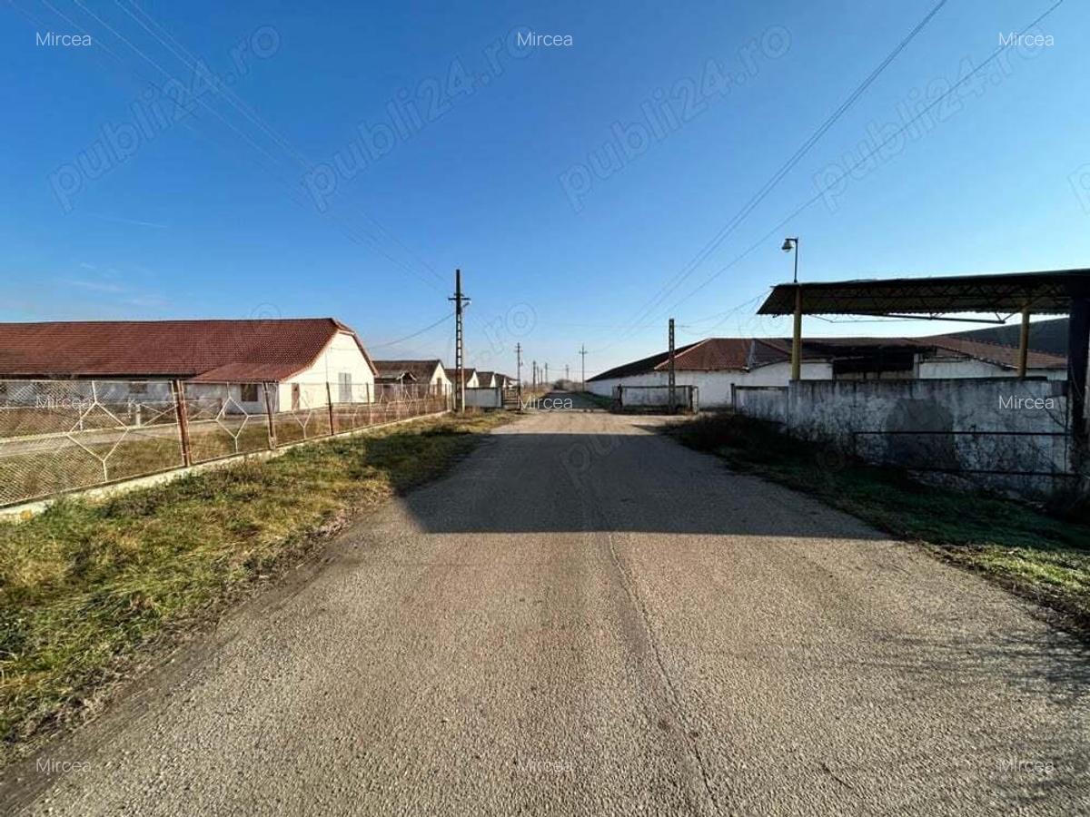 Vand teren intravilan,zona industriala,st.16,8 ha. + 8 ha.agricol,in Sanicolau Mare, la DN6,la sosea - 10