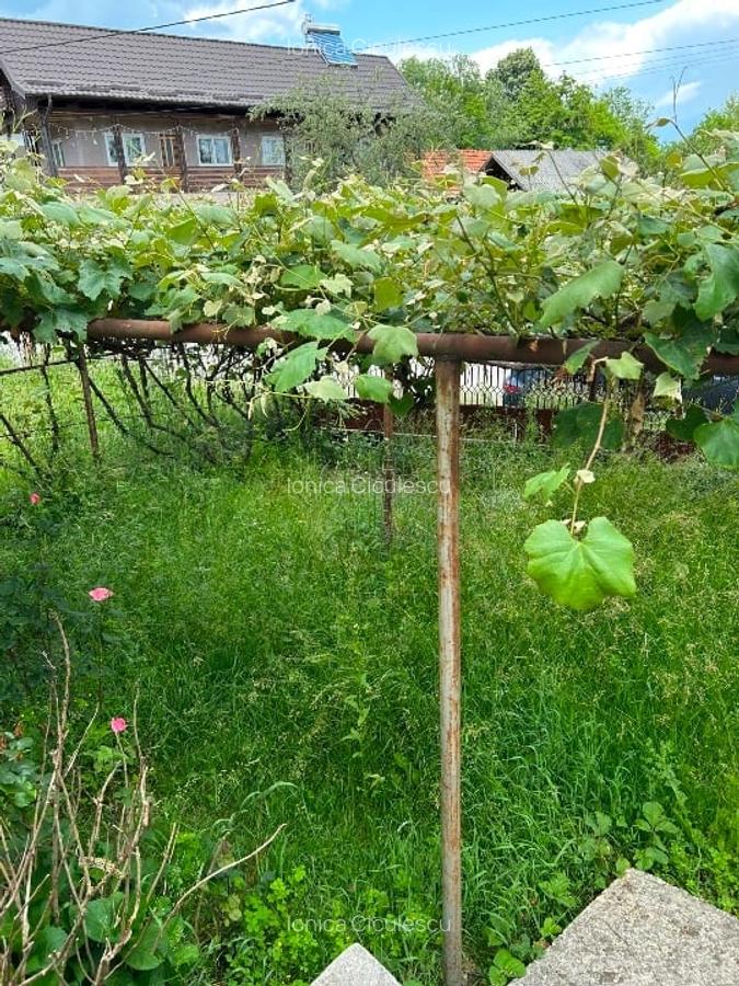 Casă cu anexe și grădină; Retevoiesti , 30Km Curte de Argeș și Câmpulung; locuib - 15