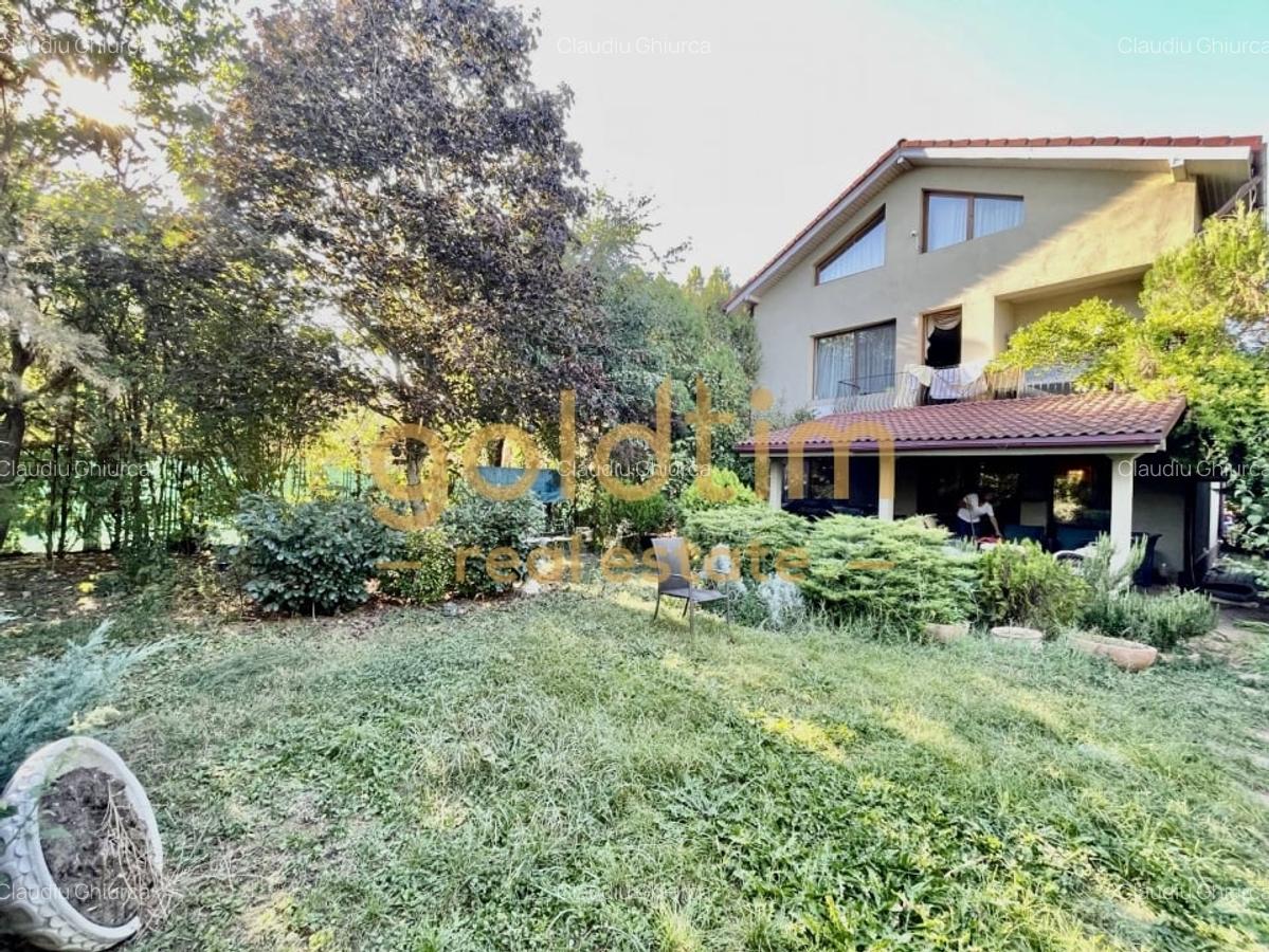 SUPERB/GRADINA/VEGETATIE MATURA/VILA INDIVIDUALA/PISCINA EXTERIOARA - 28