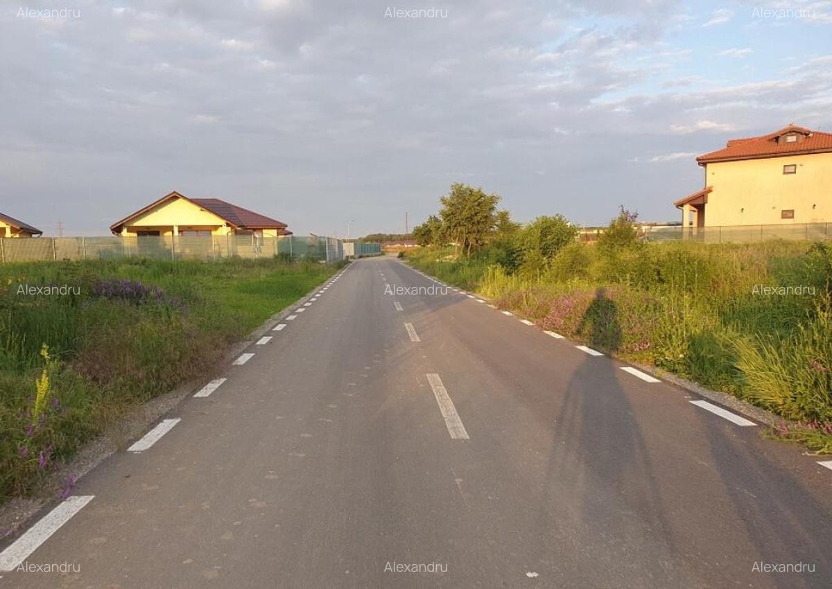 Lot teren Balotesti,langa case noi-50 m de asfalt 600mp - 1