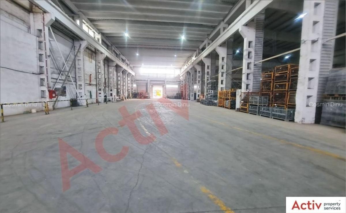 Spațiu industrial, 7900 mp în Vest - 2