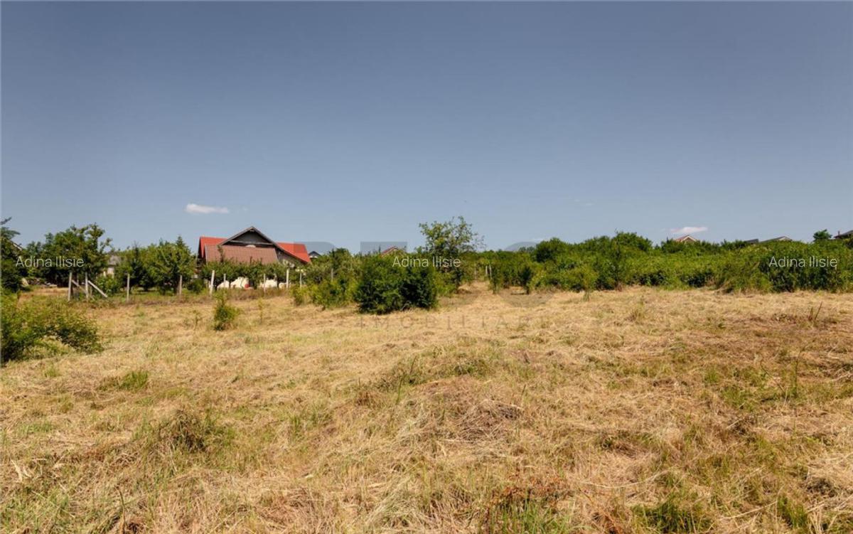 RECO Teren intravilan 1200 mp- front 30ml ,cu utilitati, Pa - 11