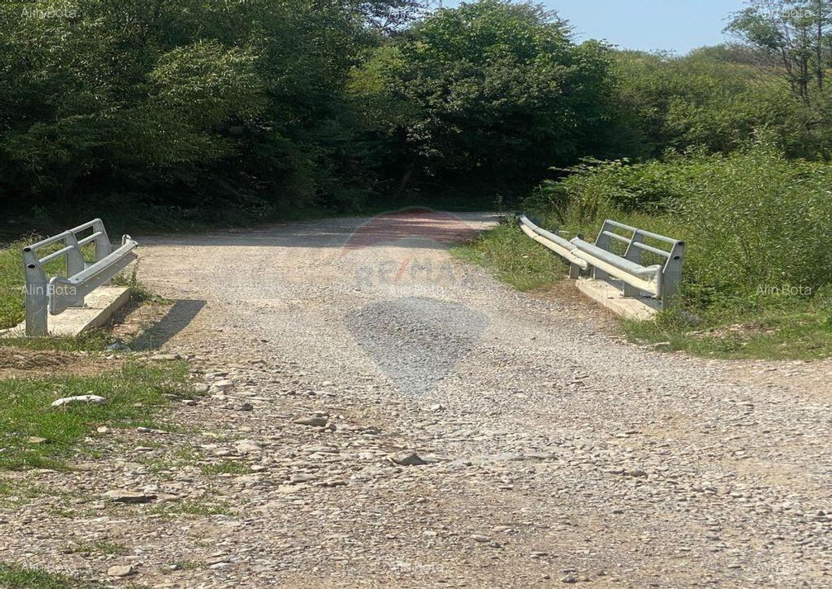 Teren de vanzare 8,700 mp Tarlungeni, comision 0 cumparator - 2