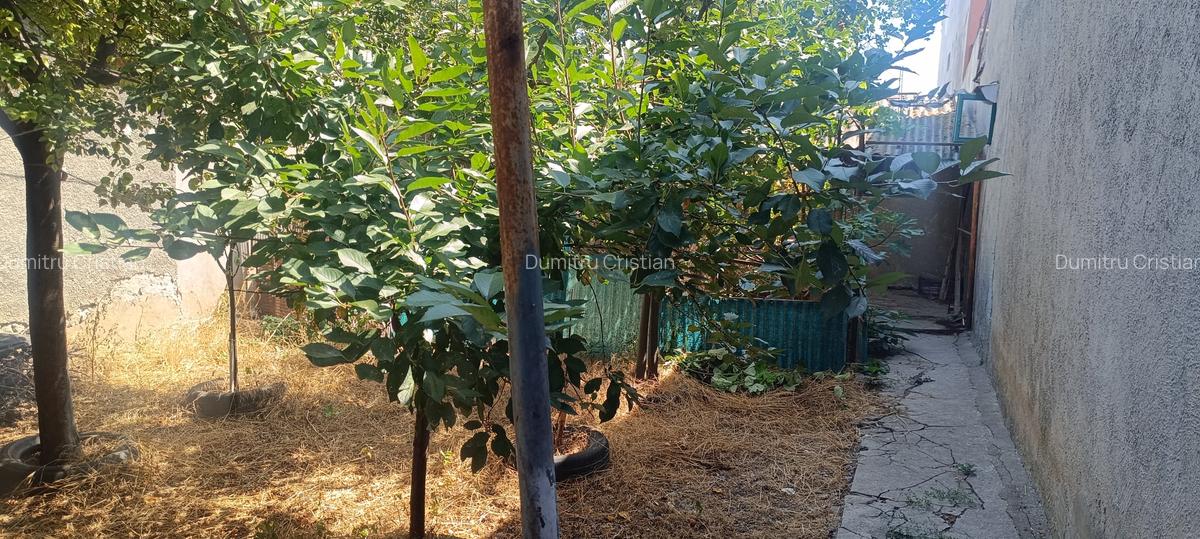 Lumina, teren intravilan, poziționat între case - 1 Lumina, teren intravilan, poziționat între case - 1