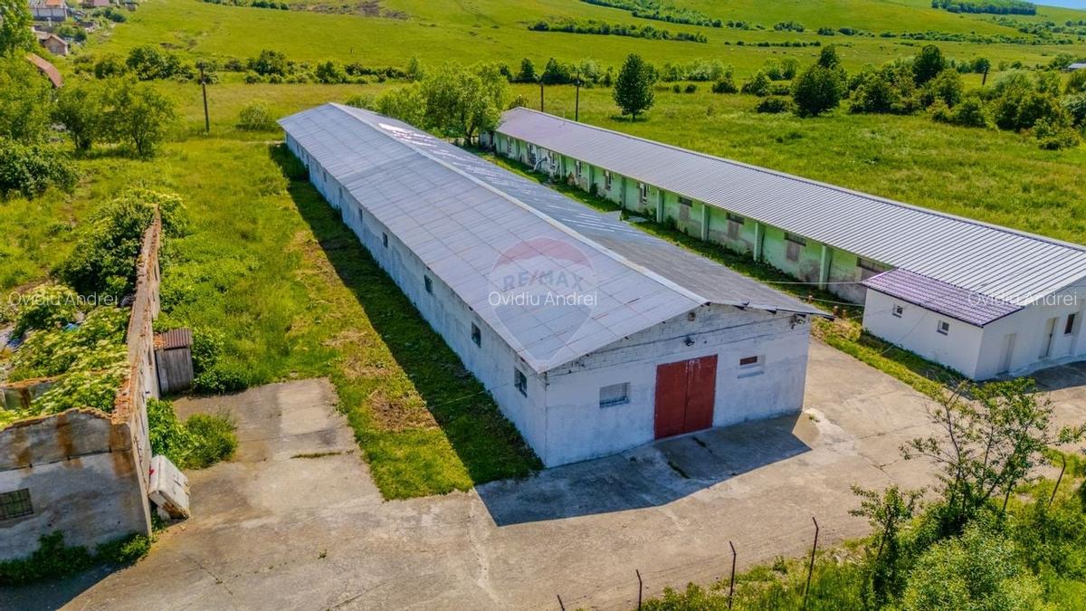 Spatiu industrial de 700mp de inchiriat - 16