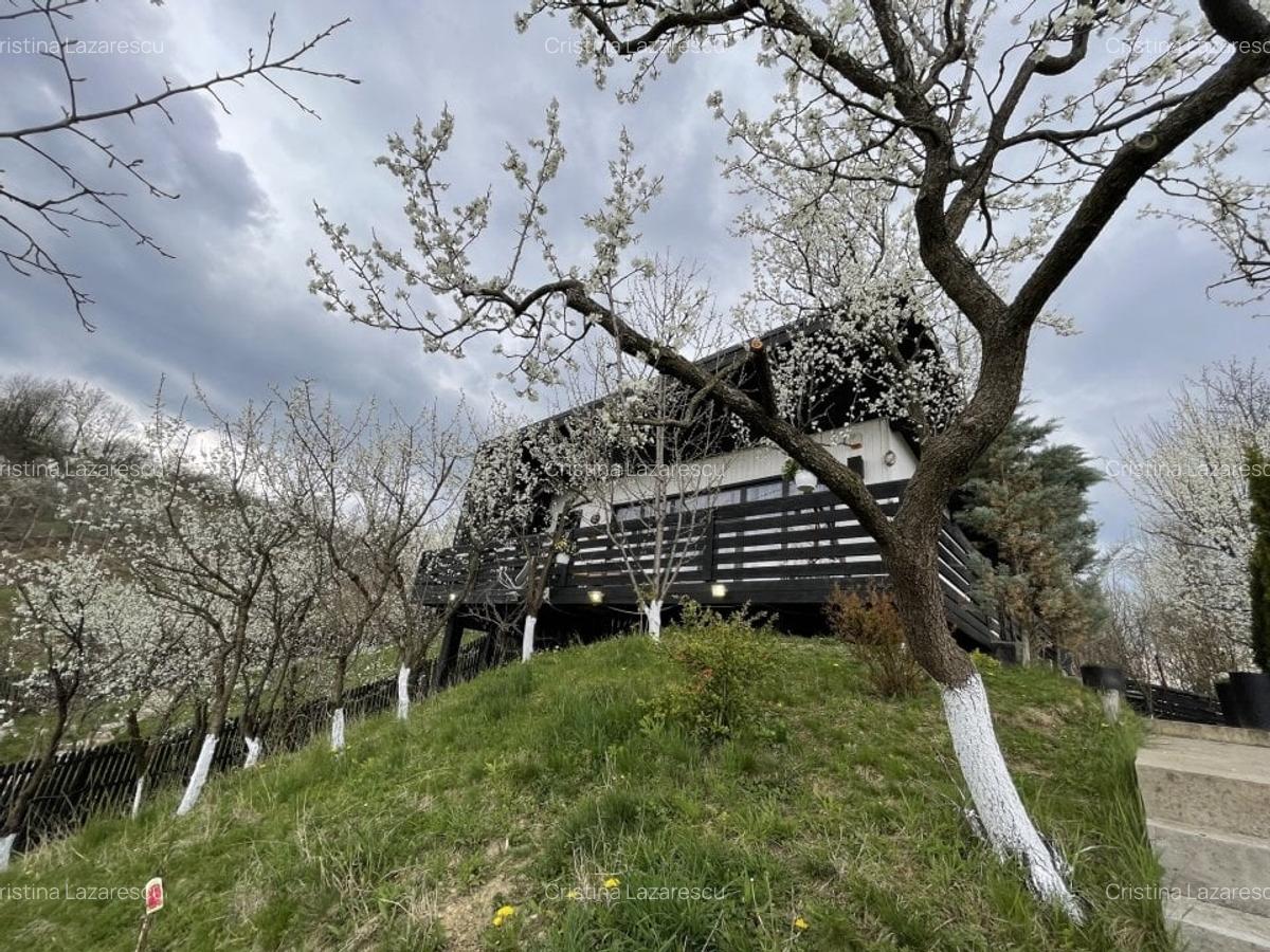 Casa de vacanta /Vila panoramica Provita de Jos - 1