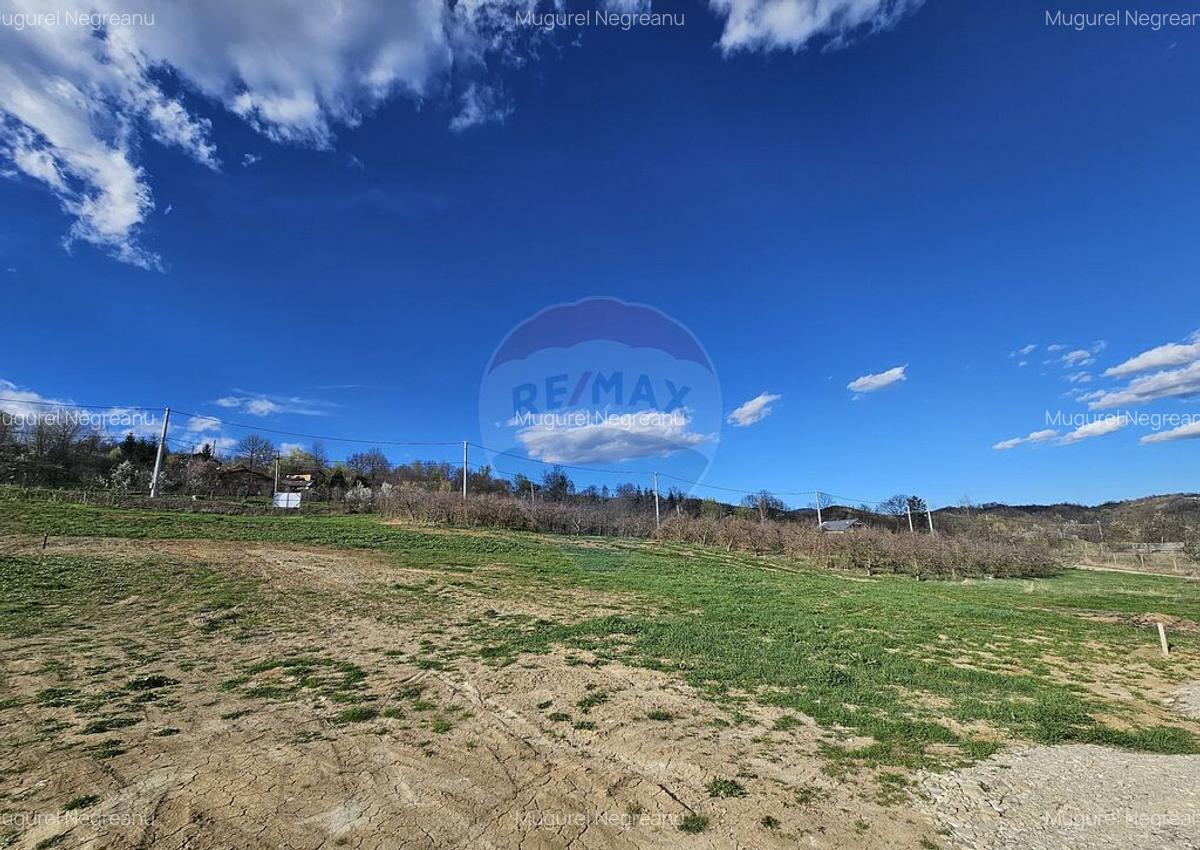 15 parcele de 1000 mp de vanzare in Breaza Prahova- toate... - 12 15 parcele de 1000 mp de vanzare in Breaza Prahova- toate... - 12