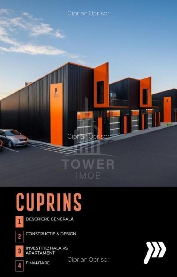 HALE INDUSTRIALE MODERNE ÎN PARCUL INDUSTRIAL SIBIU | 2200mp Teren 200mpu - 6