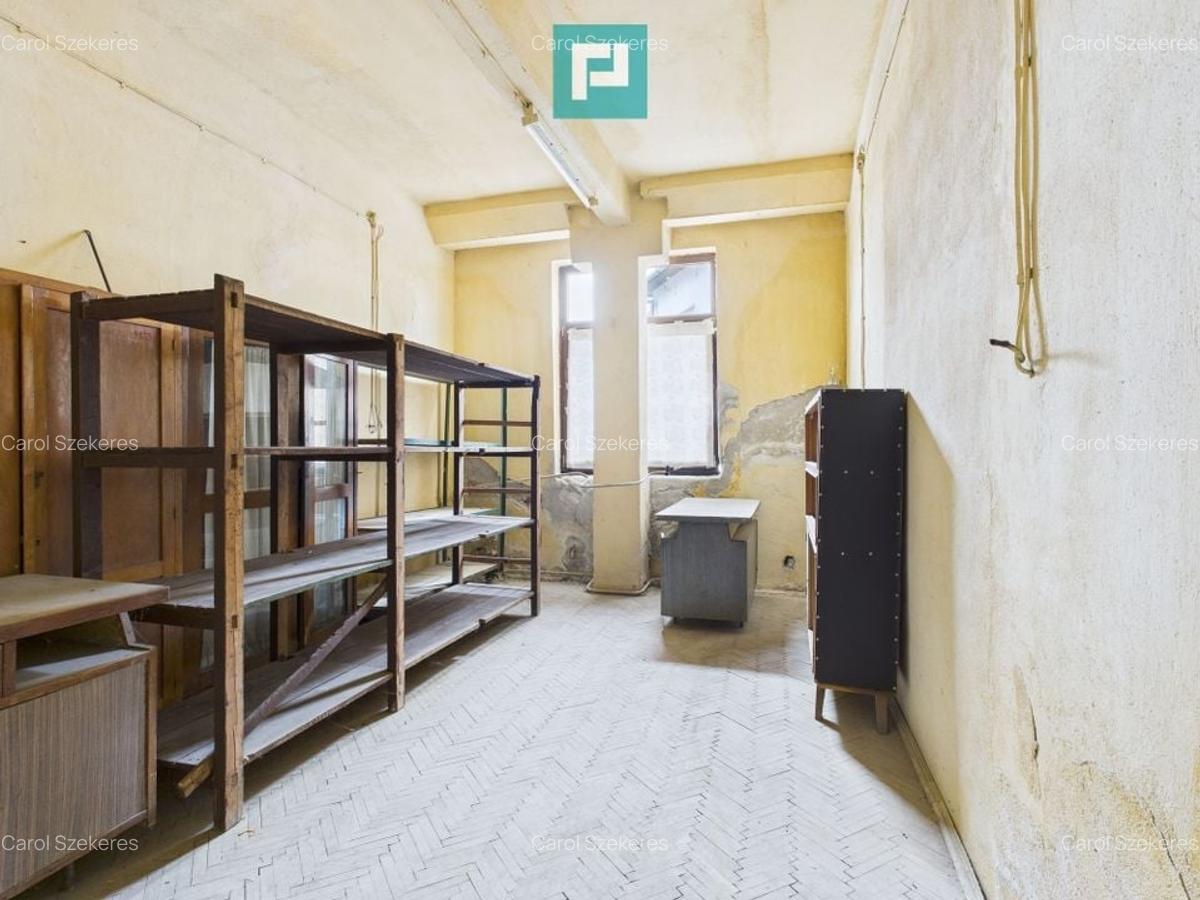Spațiu de producție cu 4 camere în Periam - 5