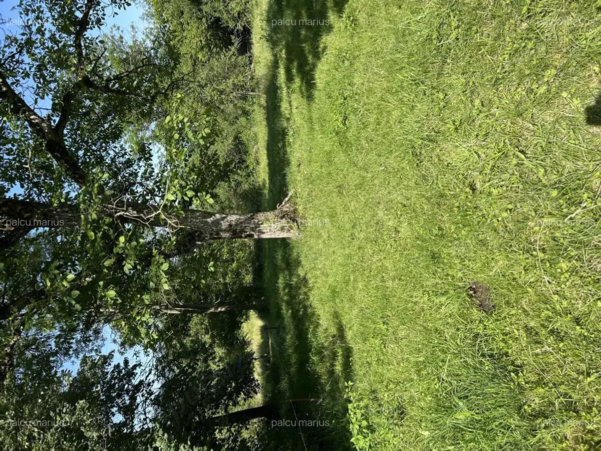 Vand casa de caramida sat Bodesti -comuna Halmagiu Arad - 7