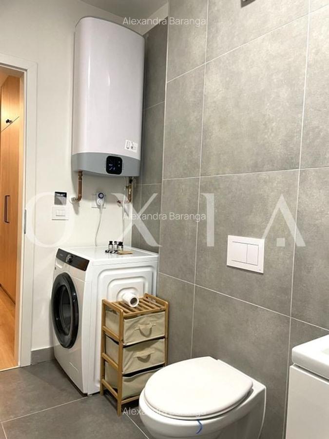 AX1146 Lipovei, Certificat Green Homes, Preluare Business - 11