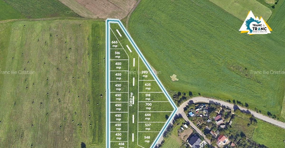 Teren de 11500 mp pentru Complex Reziden?ial in Sannicolau Mic - 1