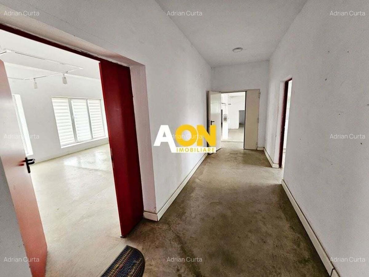 Spatiu industrial pentru productie sau depozitare, 1600 mp, Sebes - 18