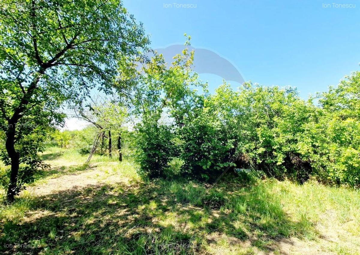 Casa Cosoveni / Teren - 3742 mp - 7