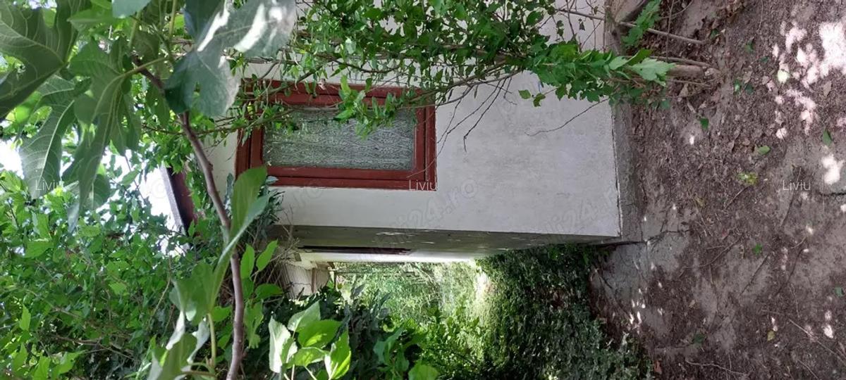 Casa si teren Murighiol - 3