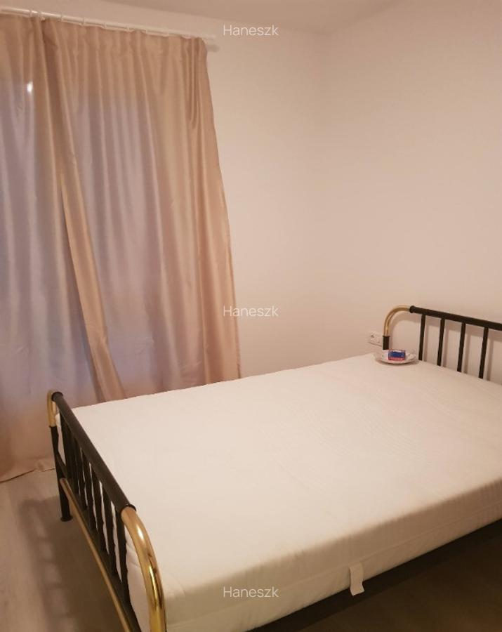 Apartament 2 camere decomandat Calea Buziasului - 2