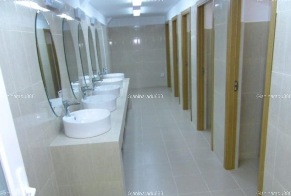 Hala si birouri noi zona Camil Ressu - 7
