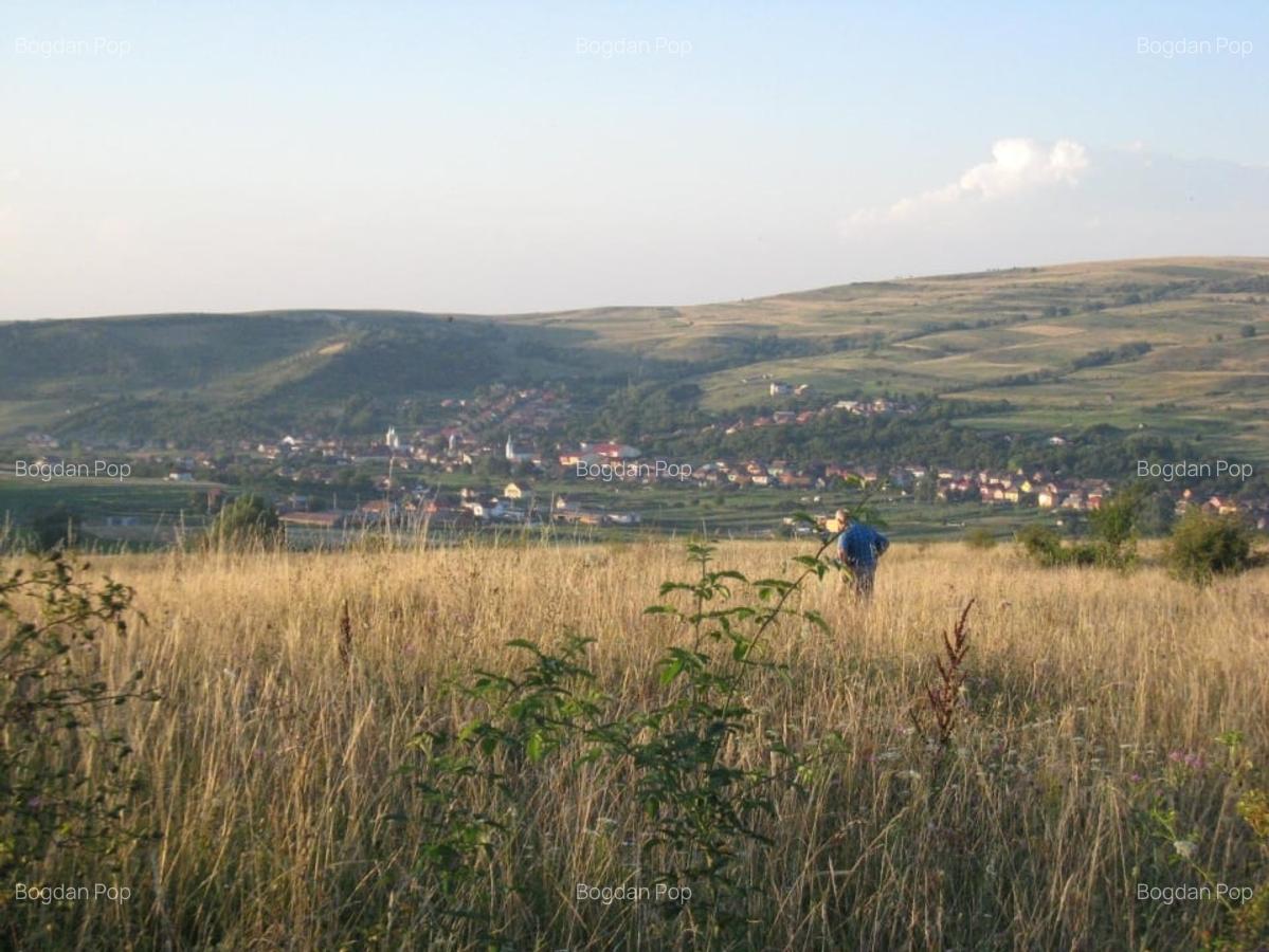 INVESTITIE! Teren intravilan 5700mp - Chinteni, jud Cluj! - 1